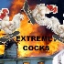 eXtreme Cocks