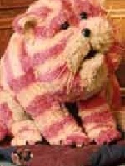 Bagpuss1's profile picture